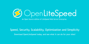 Reset Password OpenLiteSpeed Webadmin Console