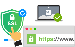 Hướng dẫn cấu hình SSL FASTPANEL